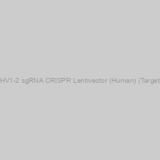 Image of IGHV1-2 sgRNA CRISPR Lentivector (Human) (Target 1)